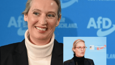 Rechtes Ohr Alice Weidel Ohrprothese – Was steckt wirklich dahinter? Rechtes Ohr Alice Weidel Ohrprothese