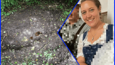 Valerie von Medinger gefunden – neuer Stand der Ermittlungen Valerie von Medinger gefunden