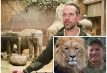 Tierpfleger Zoo Leipzig gestorben