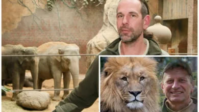 Tierpfleger Zoo Leipzig gestorben