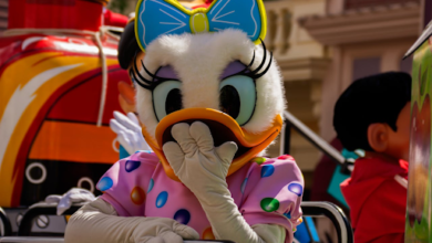 Disneyland Paris Pauschalreise