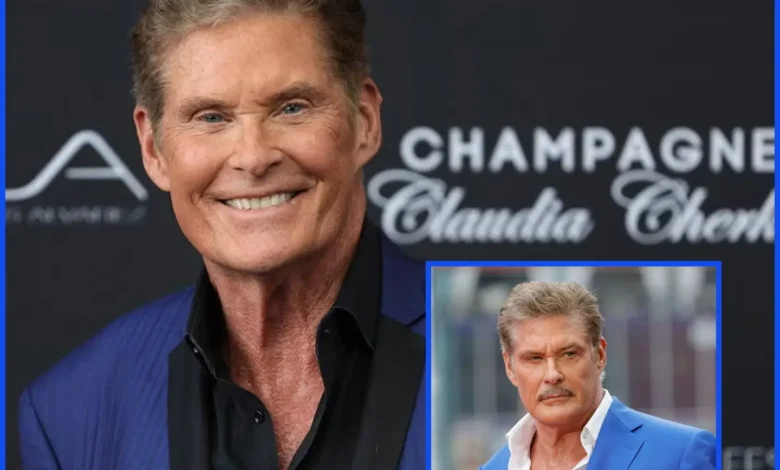 David Hasselhoff Ehepartnerin – Die Frauen an der Seite des Weltstars David Hasselhoff Ehepartnerin