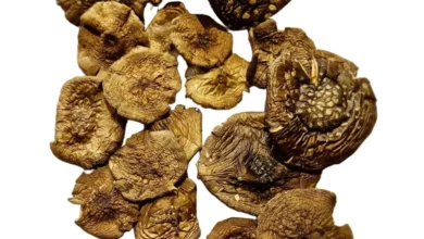 Fliegenpilz und Meditation: Achtsame Praxis mit Naturprodukten Fliegenpilz und Meditation: Achtsame Praxis mit Naturprodukten