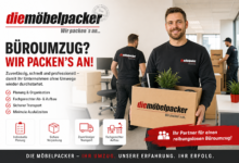 Büroumzug Wien