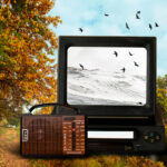 Zwischen TV-Trend und Selbstausdruck