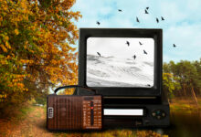 Zwischen TV-Trend und Selbstausdruck