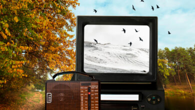 Zwischen TV-Trend und Selbstausdruck: Die Renaissance des Gesellschaftstanzes Zwischen TV-Trend und Selbstausdruck