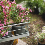 das im Garten und auf dem Balkon wirklich funktioniert